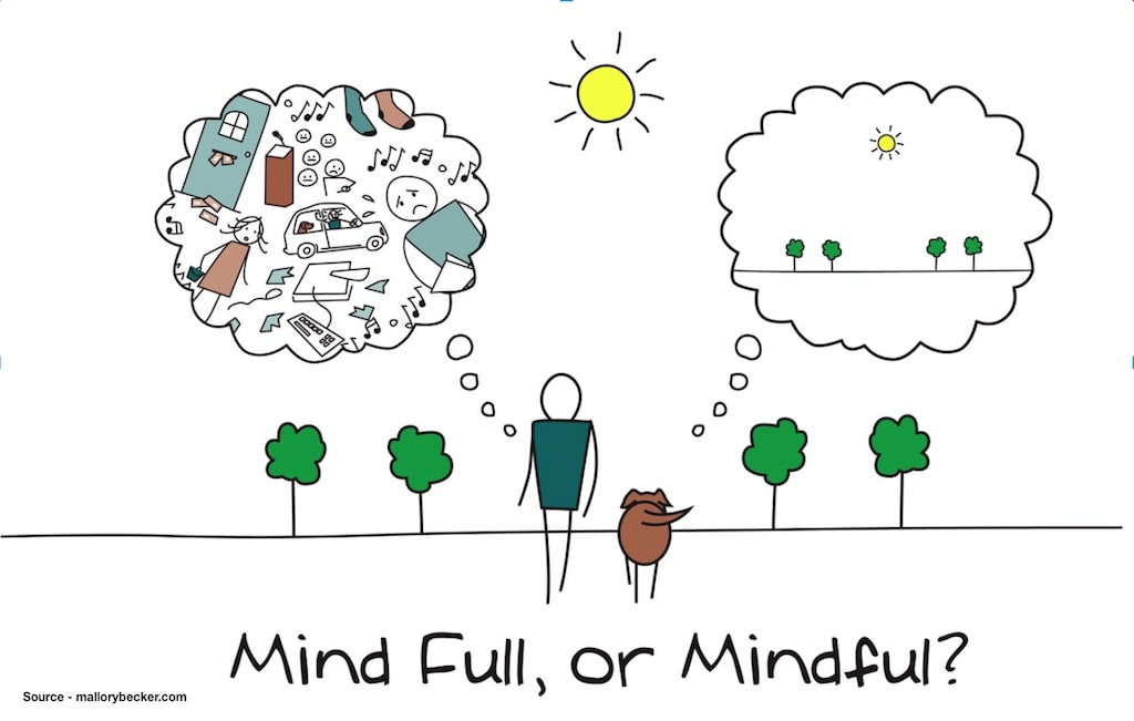 Mind Full or Mind ful image.jpg