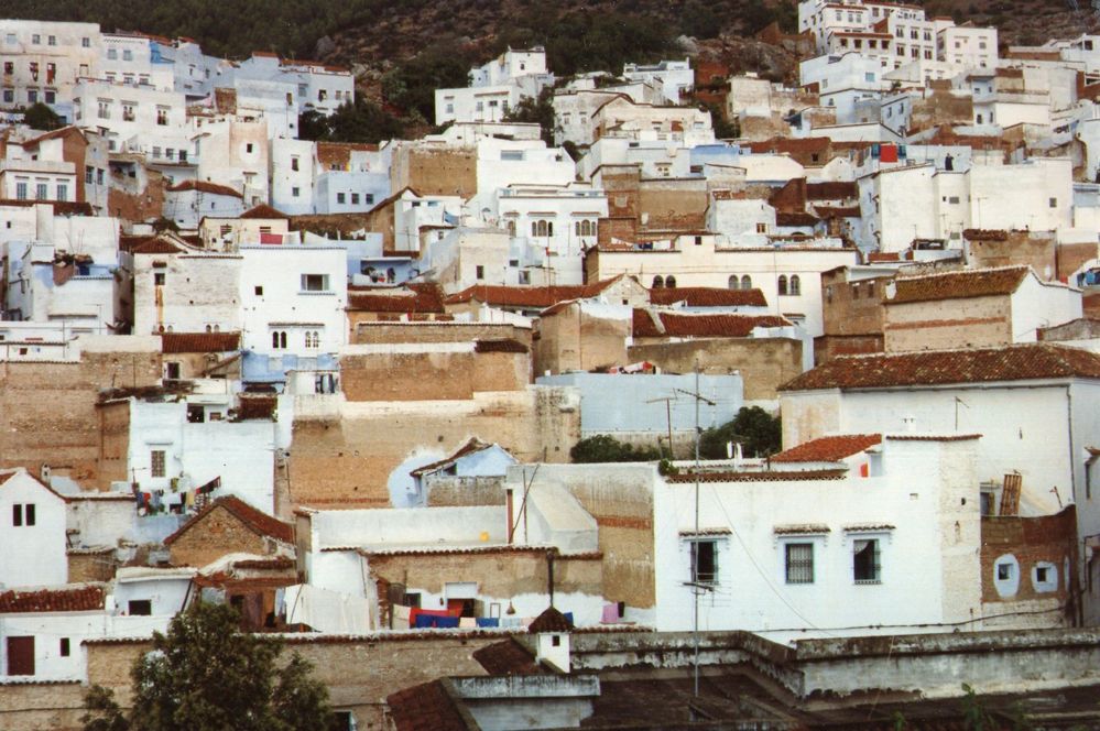Scan002.jpg