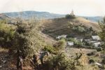 Scan003.jpg