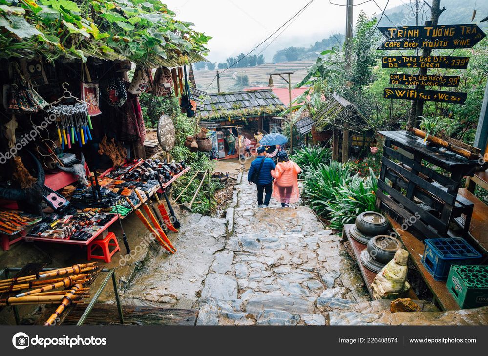 depositphotos_226408874-stock-photo-sapa-vietnam-october-2018-cat.jpg