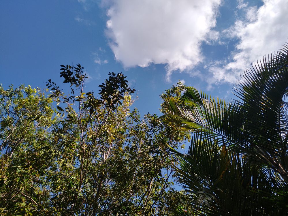 2020-04-01Sky.jpg