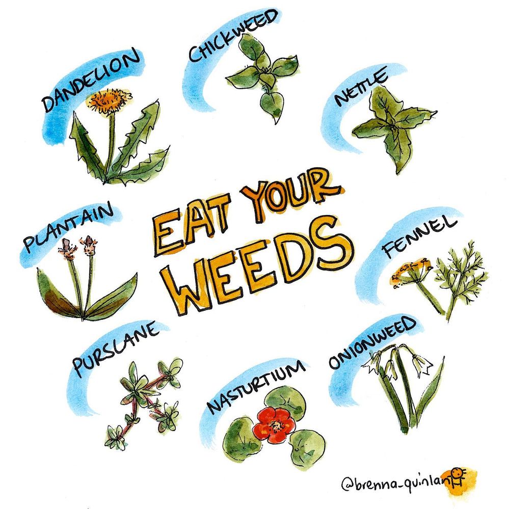 eatweeds.jpg