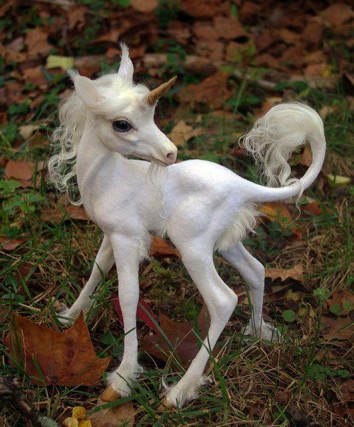UnicornFoal.jpg
