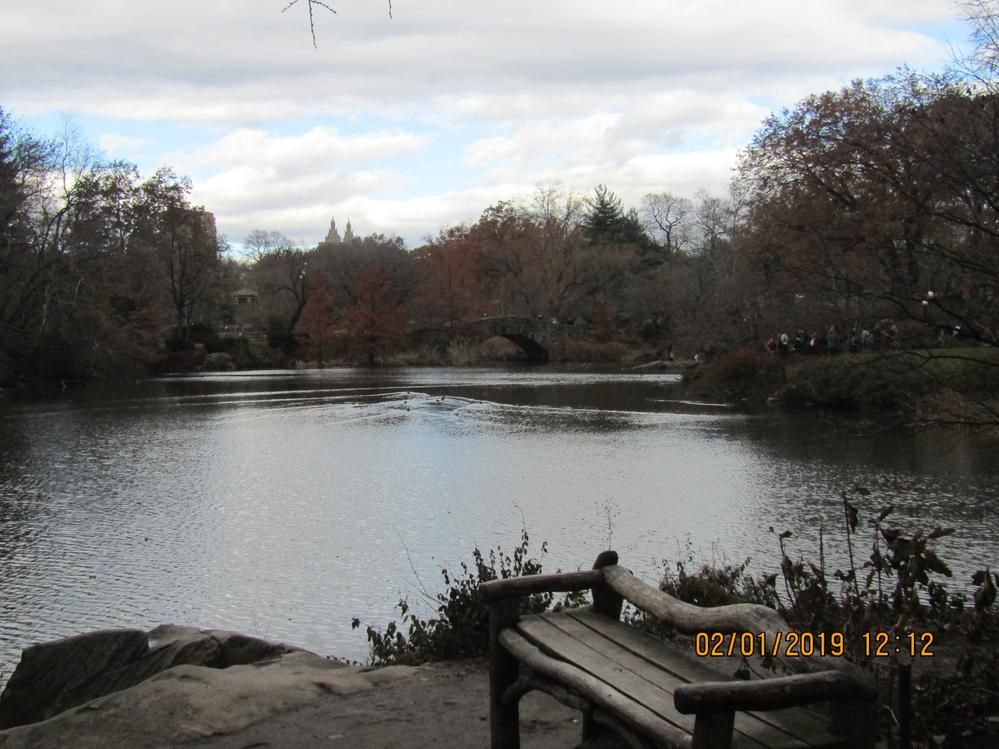 "The Pond" - Central Park
